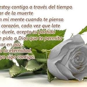 Meet your Posher, Miriam